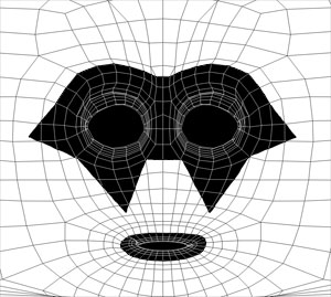 Face_material